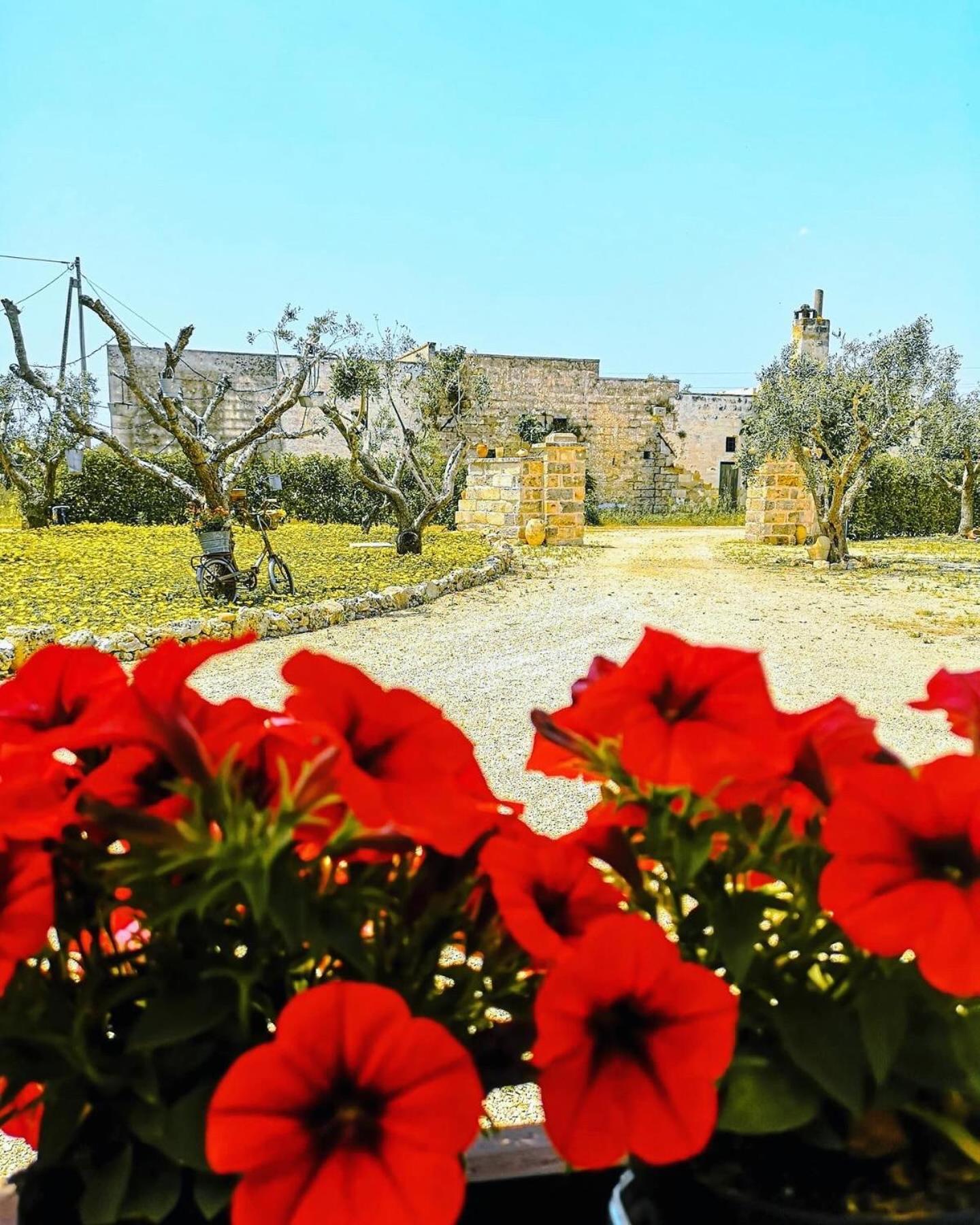Bed and Breakfast A Lu Fanizza Cutrofiano Exterior foto